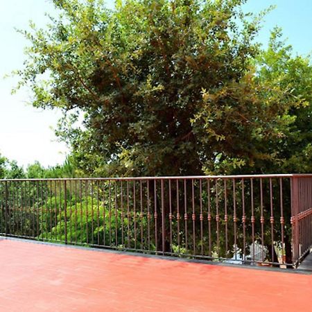 B&B Le Tre Rose Di Maria Pedara Zewnętrze zdjęcie