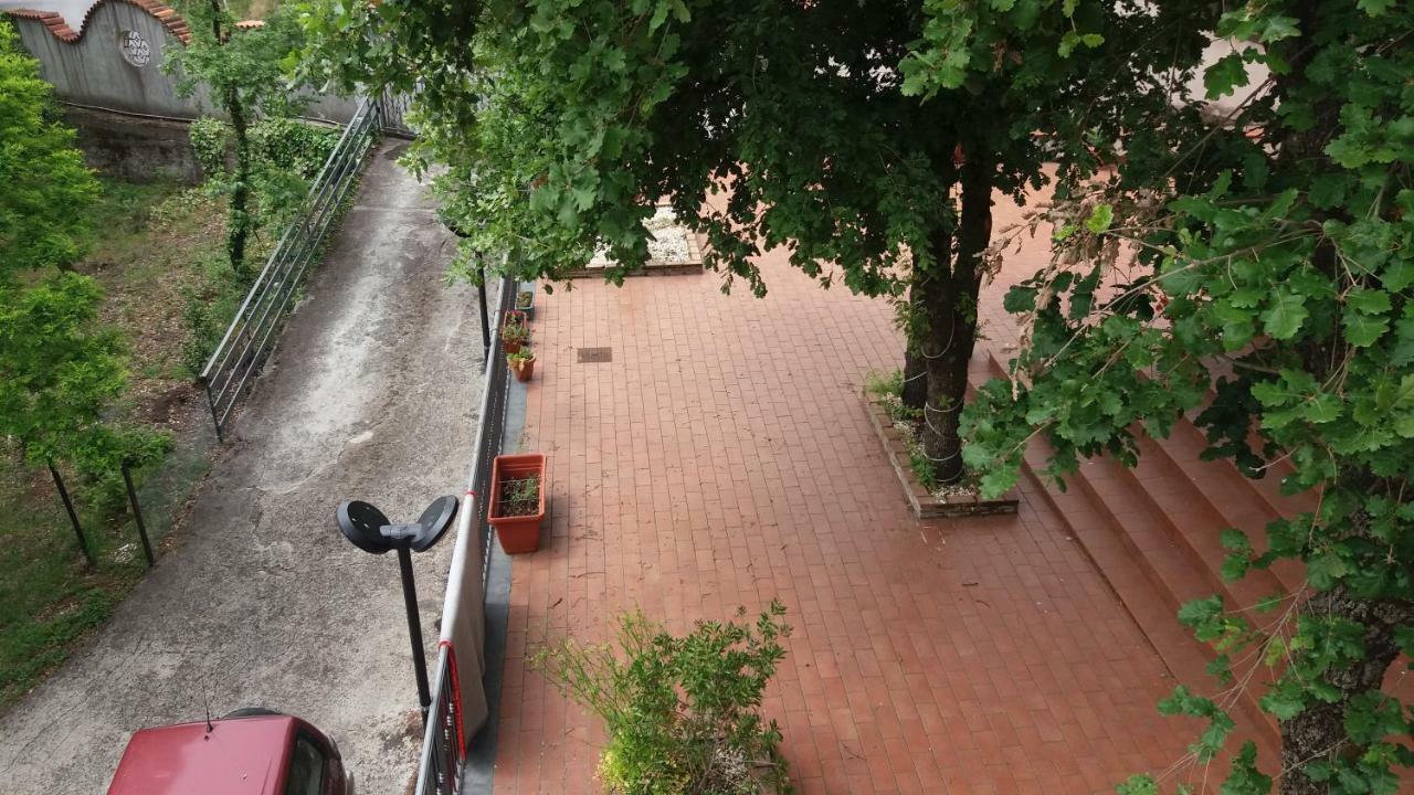 B&B Le Tre Rose Di Maria Pedara Zewnętrze zdjęcie