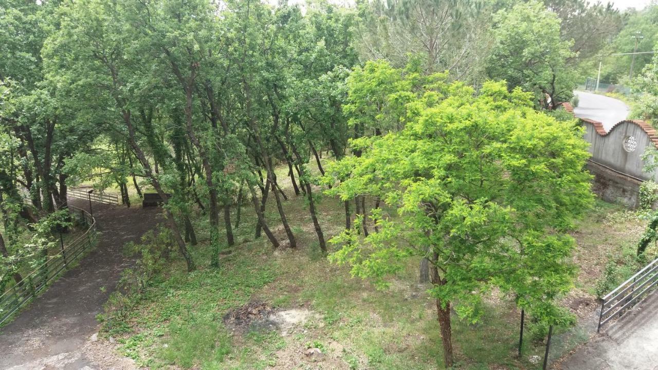 B&B Le Tre Rose Di Maria Pedara Zewnętrze zdjęcie