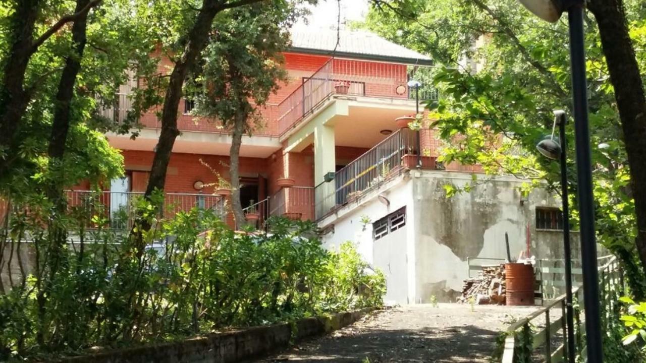 B&B Le Tre Rose Di Maria Pedara Zewnętrze zdjęcie