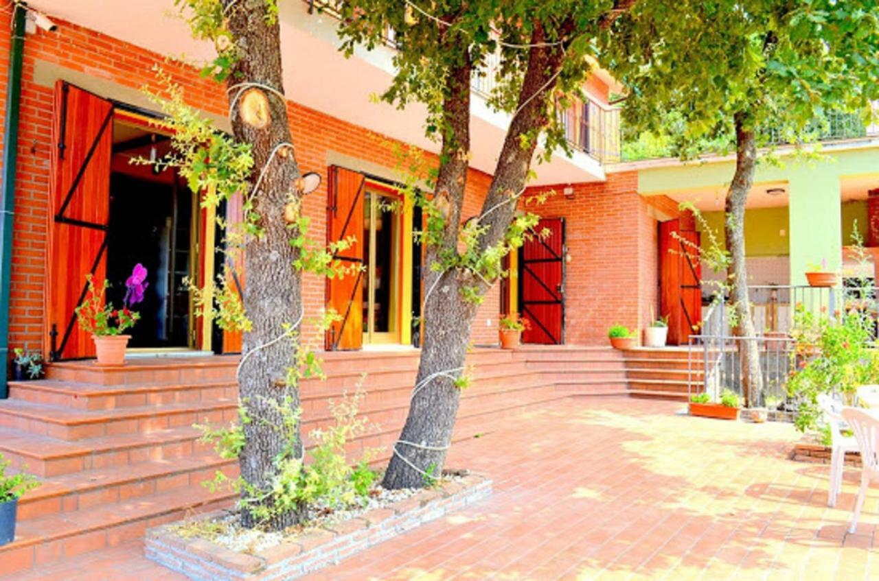 B&B Le Tre Rose Di Maria Pedara Zewnętrze zdjęcie